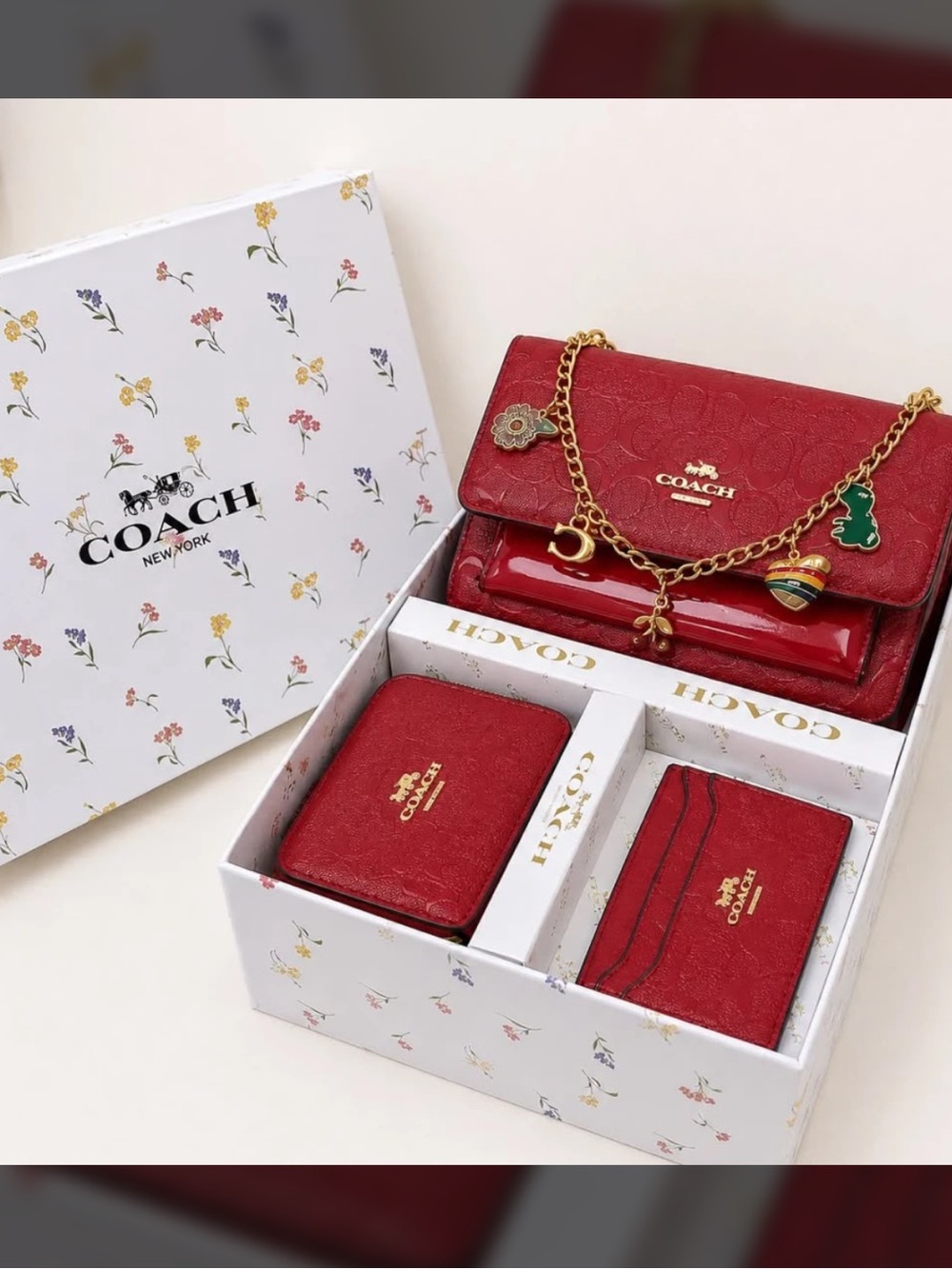 COACH Red Leather Shoulder Bag Set with Gold Chain